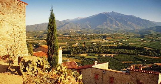 Some French wine suggestions!