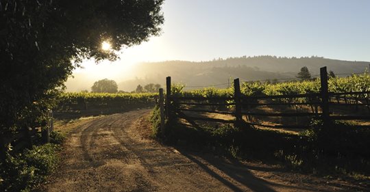 The World’s Most Underrated Wine Regions