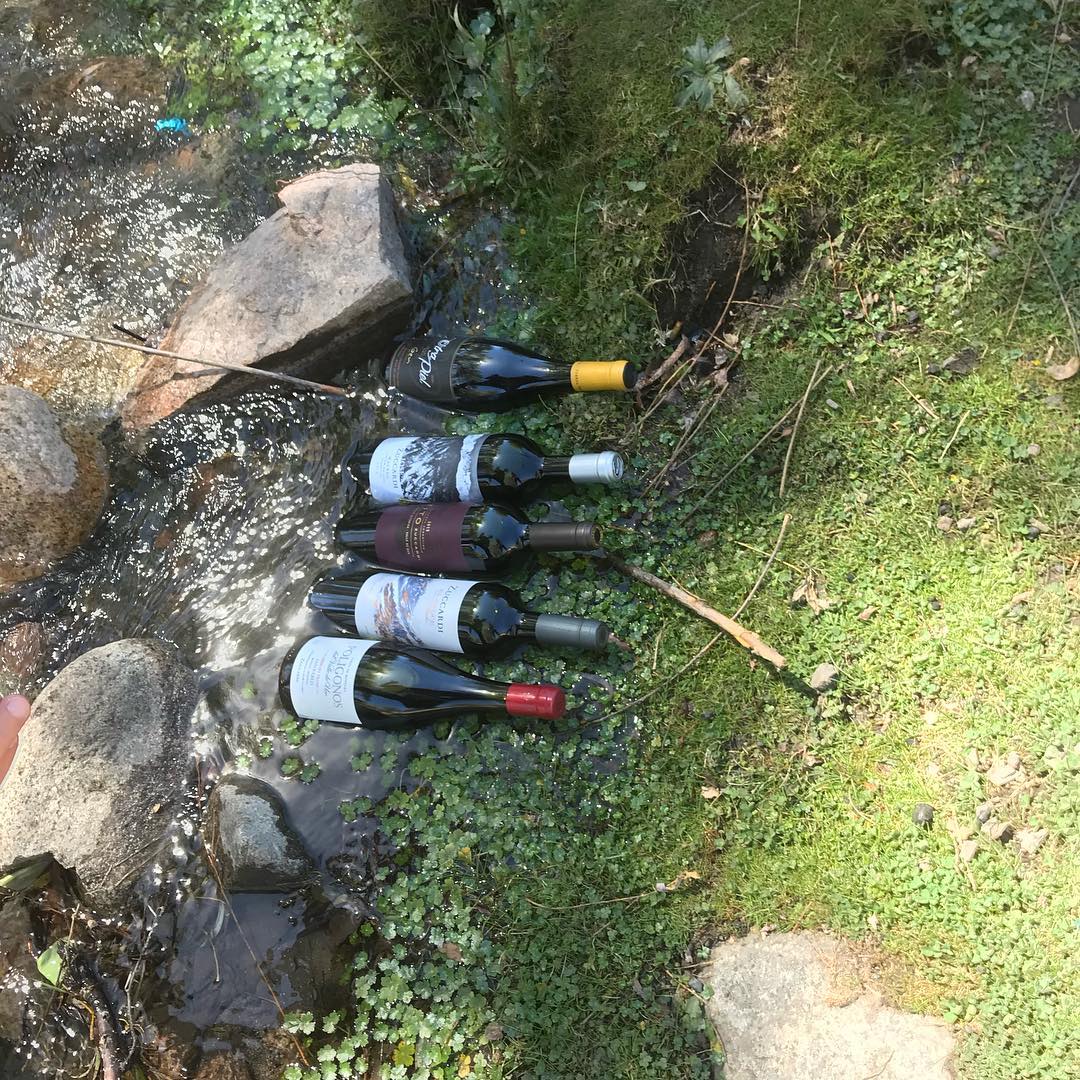 Nature chillin the wine for us…