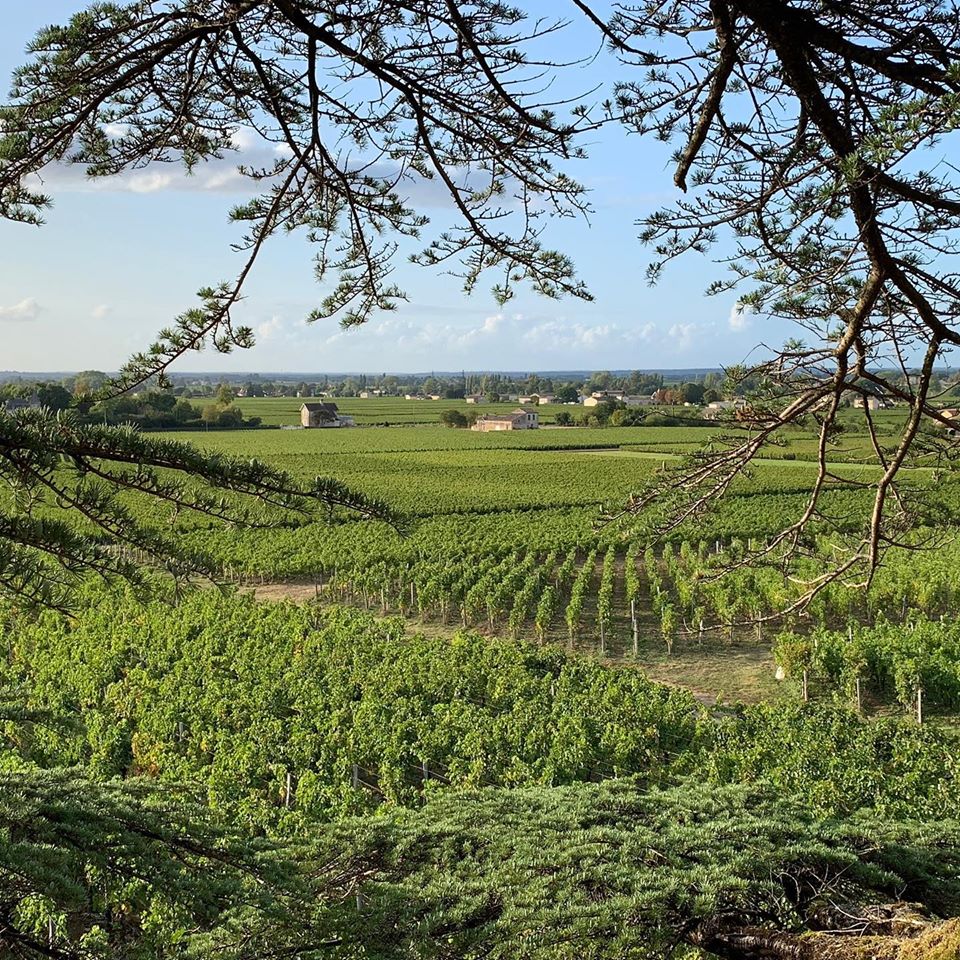 Saint Emilion!