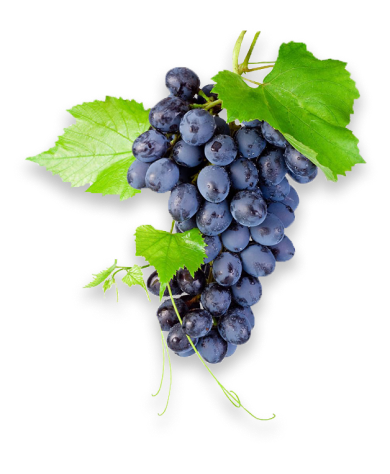grape about us