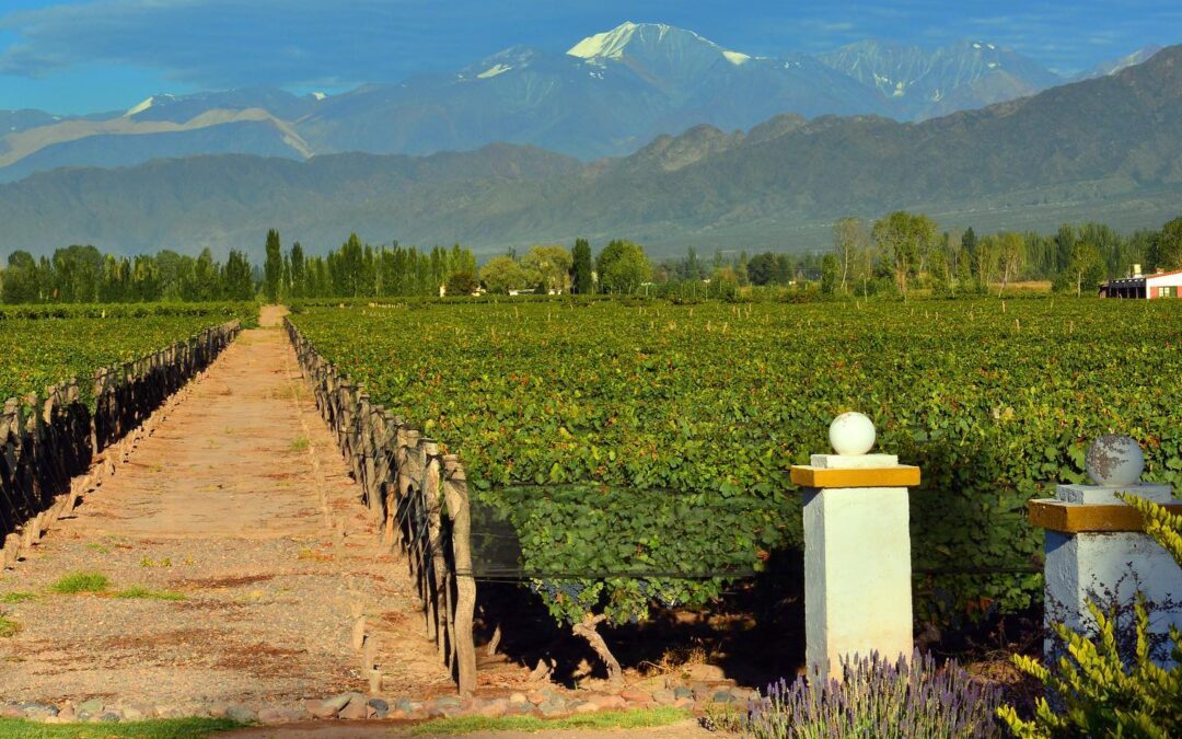 Happy World Malbec Day!