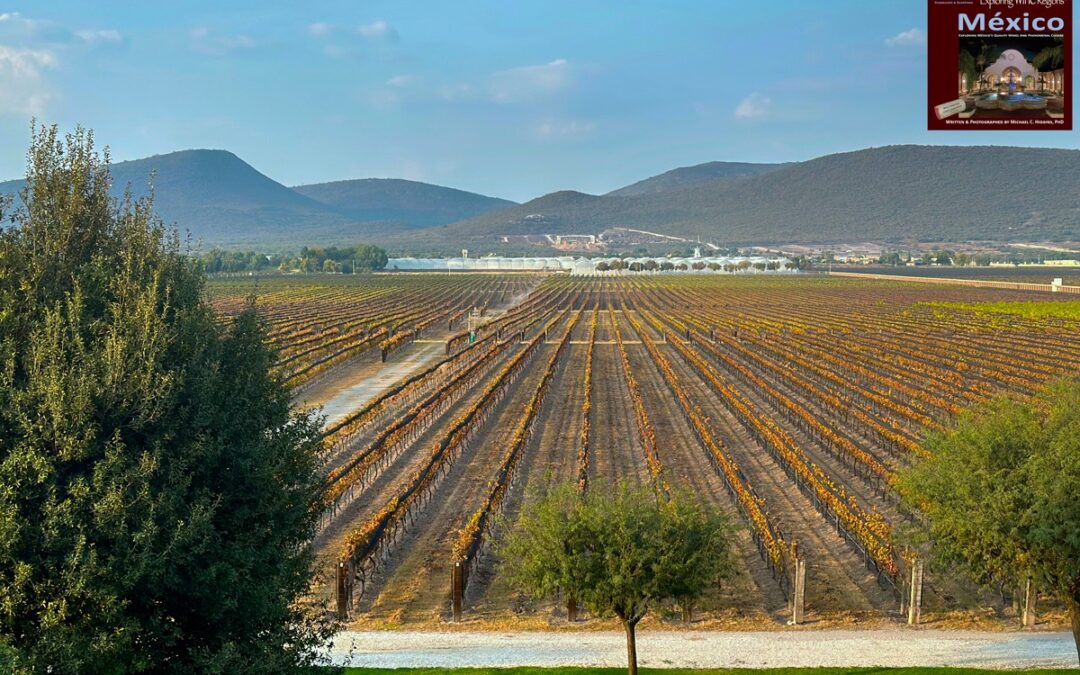 Mountainous Wine Regions