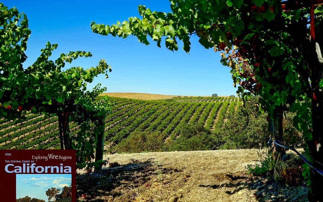 The Origins Of Paso