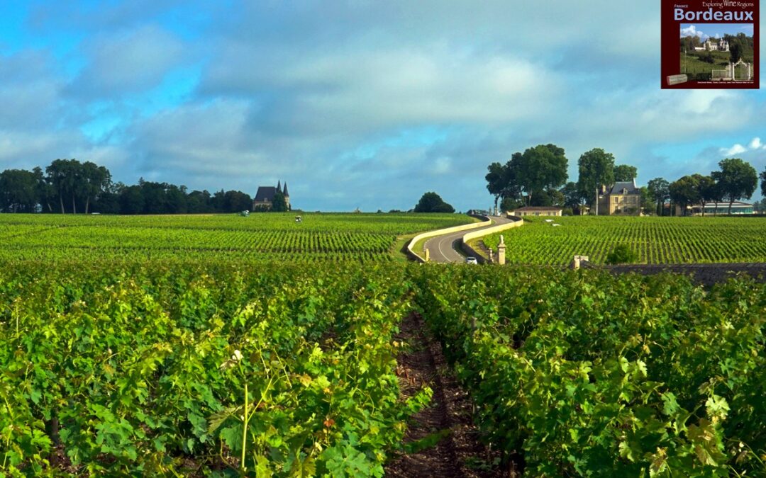 Where Cabernet Sauvignon is King BORDEAUX • MÉDOC (Left Bank)” Excerpt taken from the book