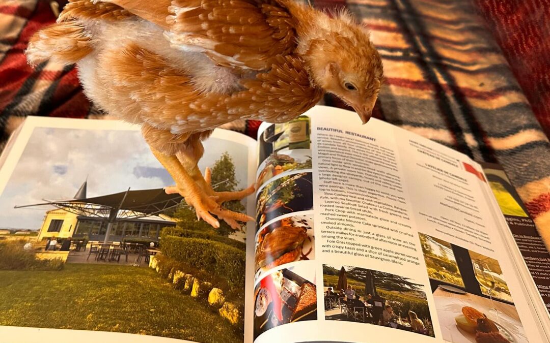 Read by everyone who loves to fly