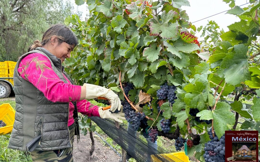 To get to the eastern wine region