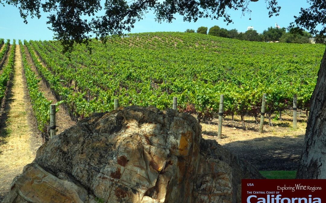 Are you a lover of French Champagne or Crémant or Spanish Cava