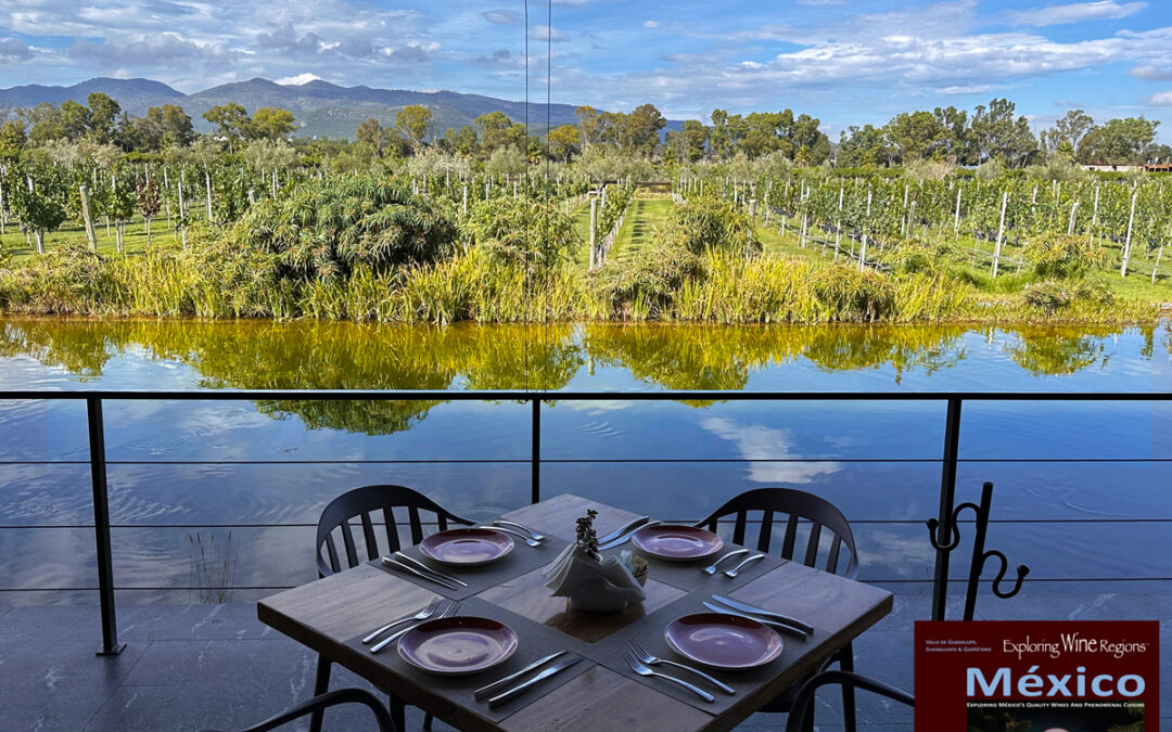 Remote Hotel in the Vineyards Photo taken from the newest edition of the book