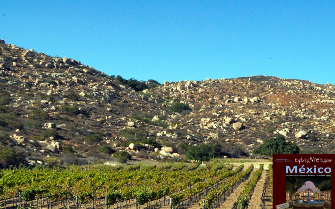 The Terroir Of México