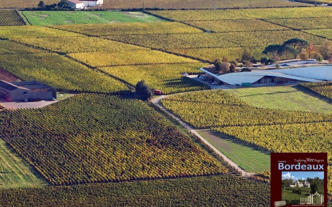 Exploring Wine Regions