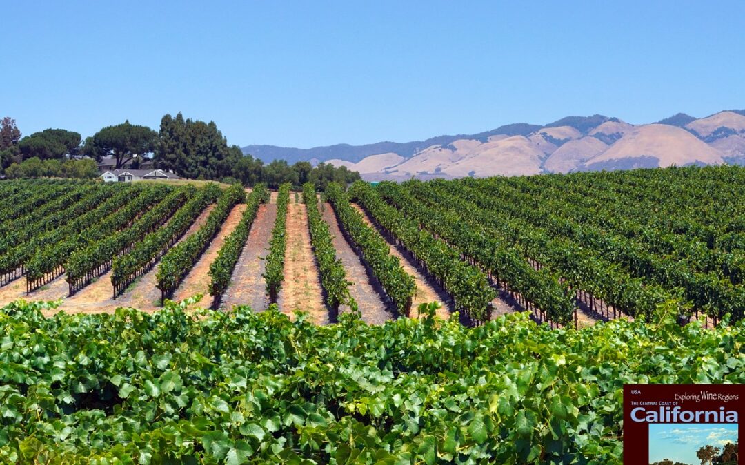 Edna Valley is a northwest-southeast running valley of volcanic hills in San Luis Obispo County