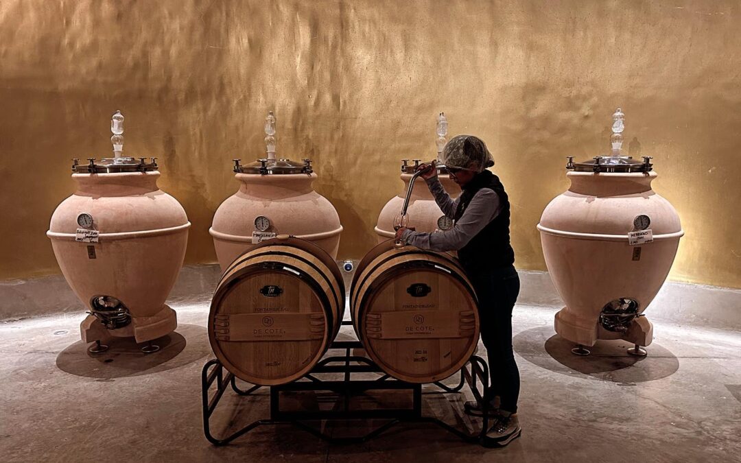 More beautiful wineries in Queretaro Mexico