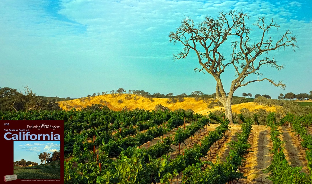 Paso Robles – A laid back