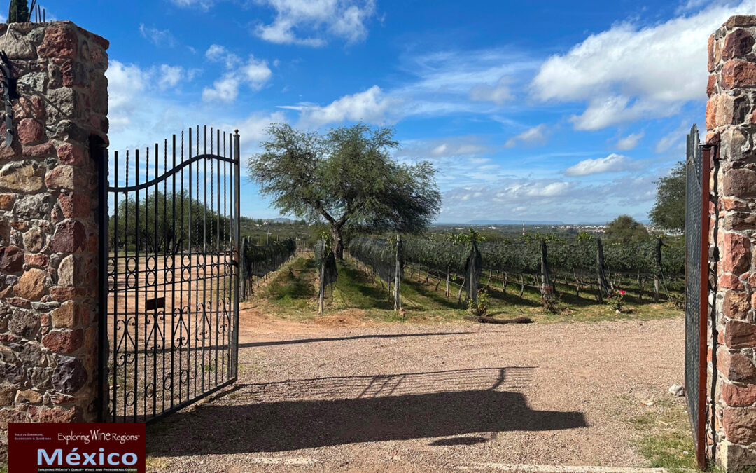 A WONDERFUL FAMILY BUSINESS This is a very casual ranch where you will feel especially comfortable