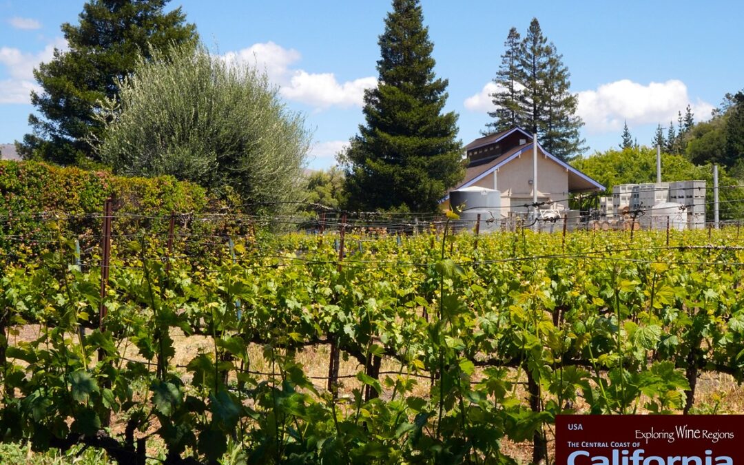 The Claiborne & Churchill brand began with Dry Riesling and Dry Gewürztraminer