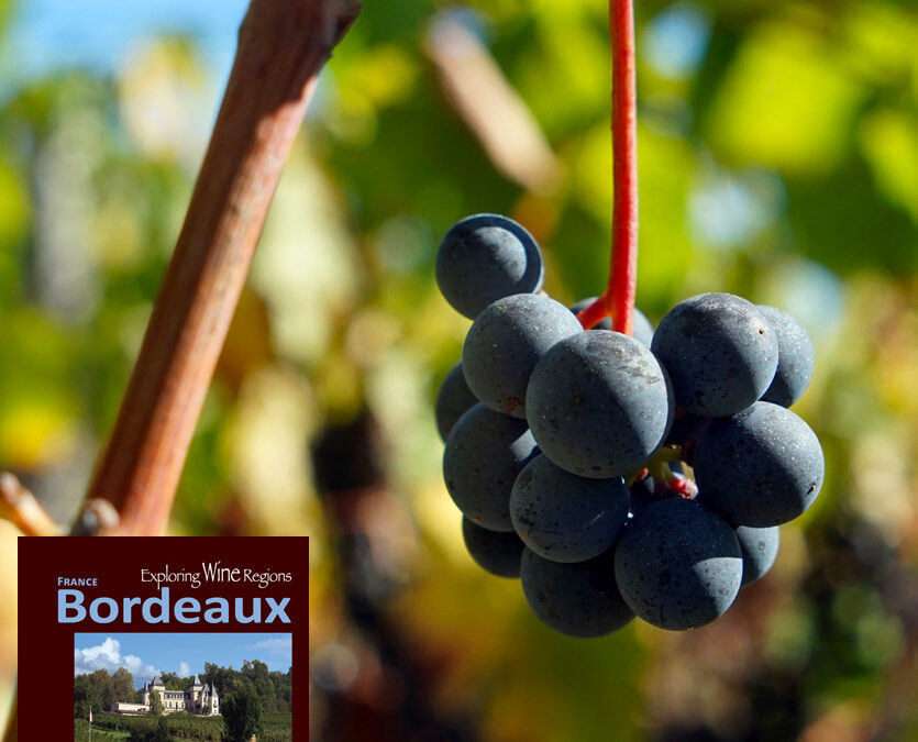In Bordeaux, their wine is made from the best of the property and then possibly a second wine is made from