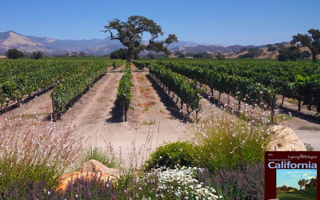 The plateau vineyards at the Fess Parker Winery estate in Santa Ynez Valley Find out more at the newest