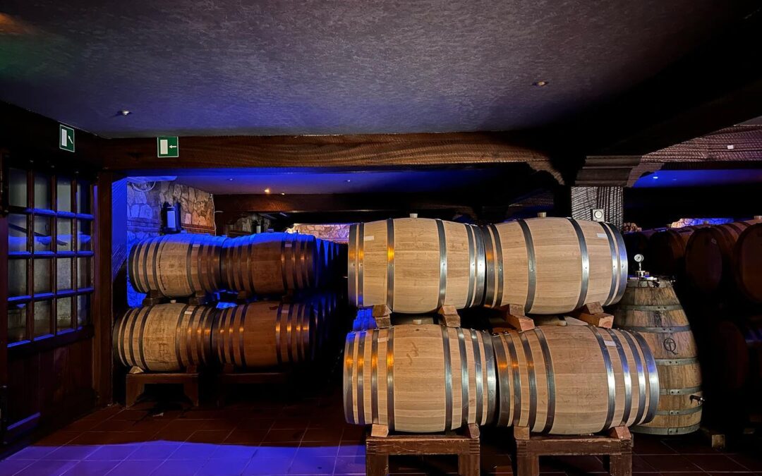 Northern Greece mainland wine regions are producing excellent wines in beautiful aging cellars