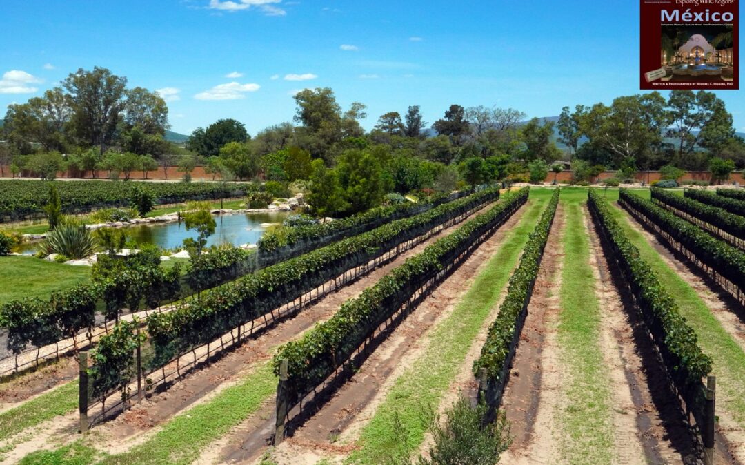Mountainous Wine Region in Central México Photo taken from the newest edition of the book