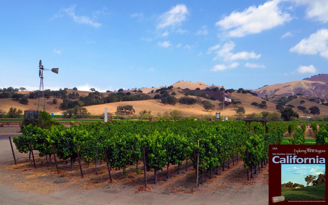 Santa Barbara’s first (1978) and oldest Syrah vineyards bringing stunningly rich wines