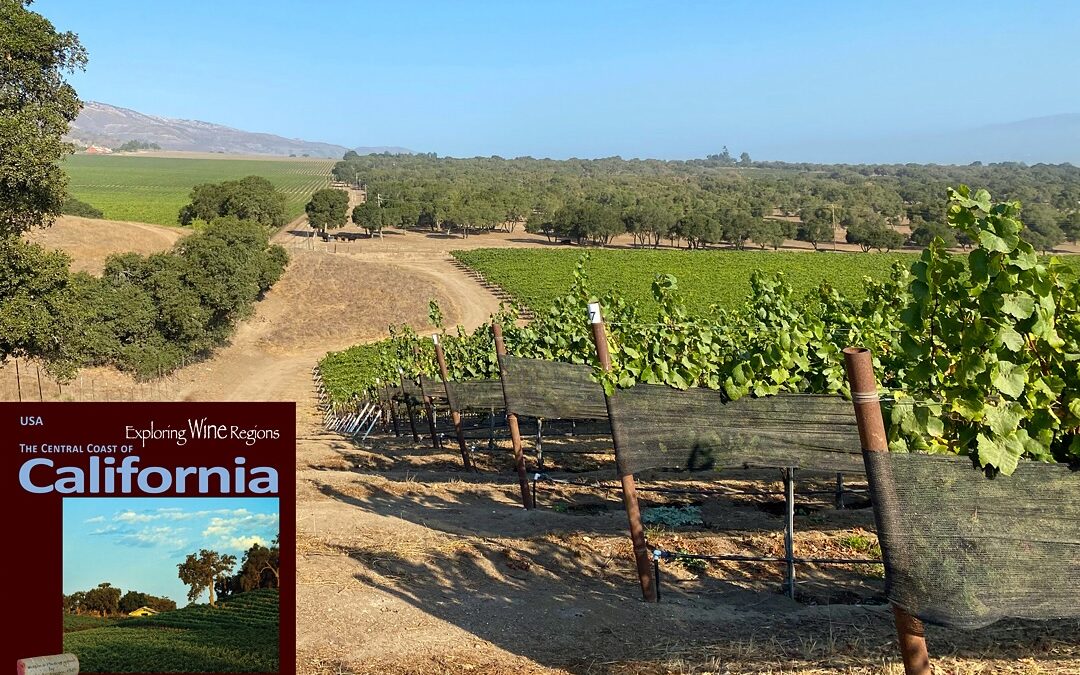 The Monterey Wine Trail is a small group of wineries in the Salinas Valley that are open to the public