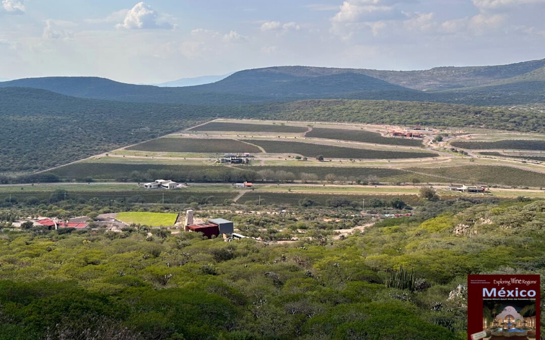 Beautiful valley, with careful attention to a total gastronomic experience