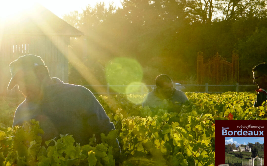 The magic of Cabernet Sauvignon comes alive here in the Médoc