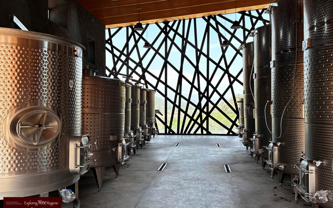 Verdejo Anyone?