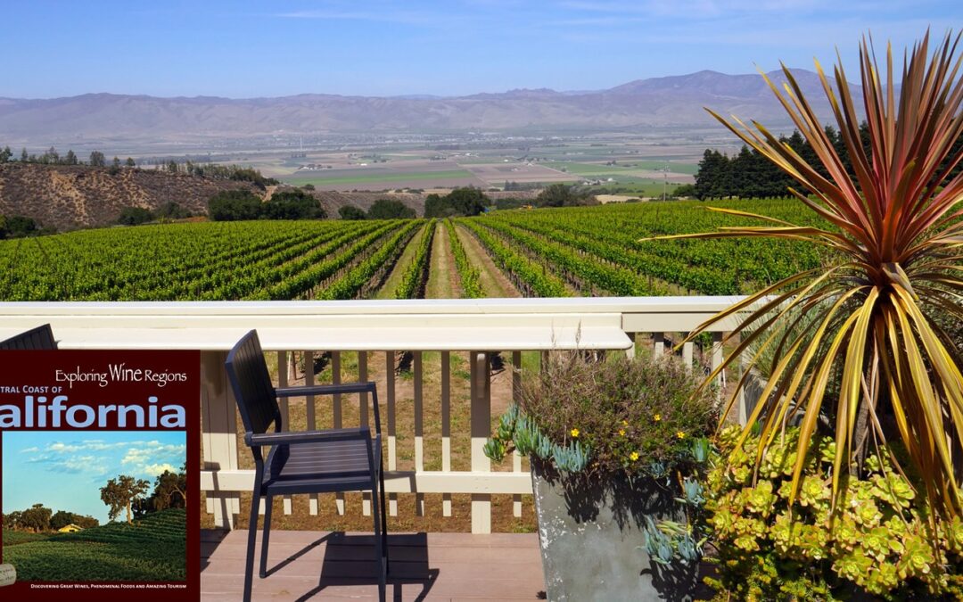 Experience the one winery located in the middle of the Santa Lucia Highlands Appellations