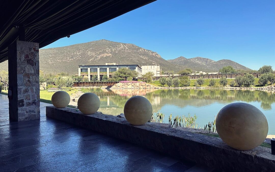 Arriving in Queretaro México to discover a spectacular new modern winery