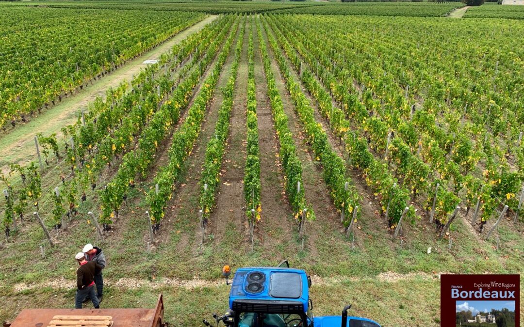 Why Bordeaux France?