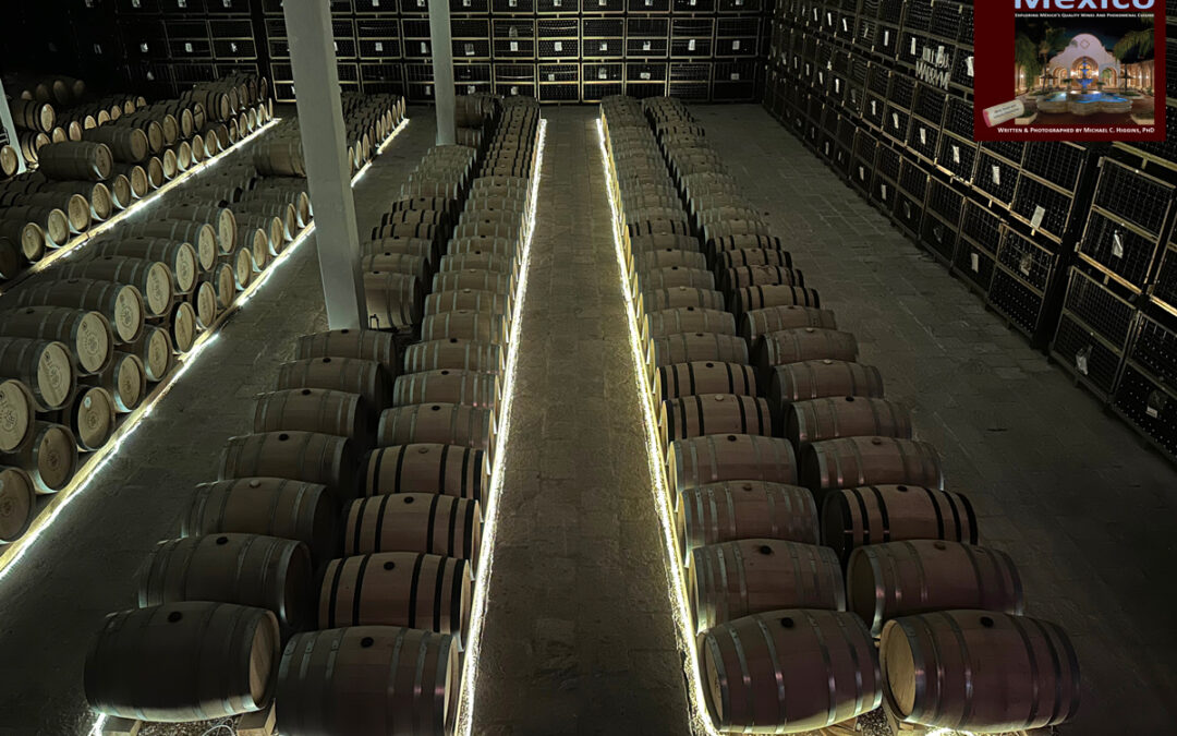 Viñedo Tres Raíces