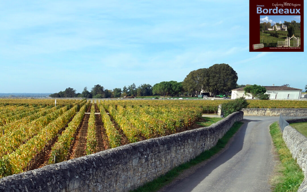 France is the second largest wine producing country in the world