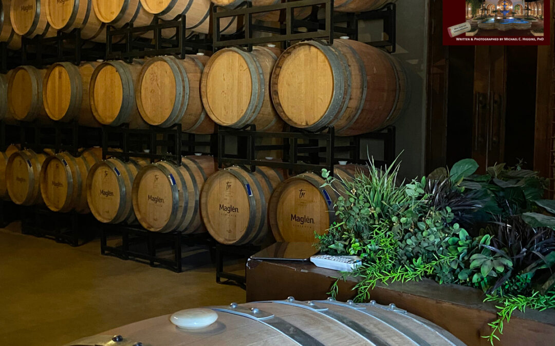 INDULGE Maglén Winery Resort is one of the largest properties in Valle de Guadalupe with a complex of