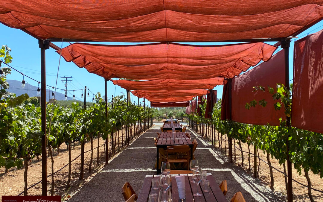 FATHER & DAUGHTER While attending a wine industry tasting event in Valle de Guadalupe