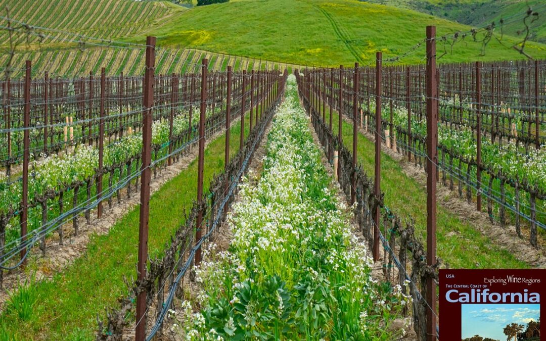 The Burgundy Appellation of the Santa Barbara Wine Region” Excerpt taken from the newest edition of the book