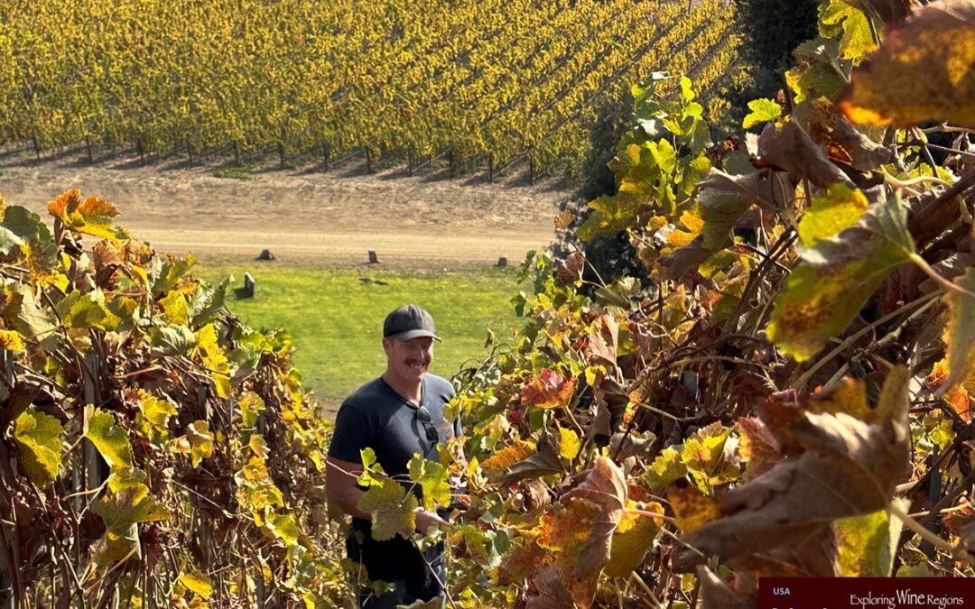 Stunning Syrah