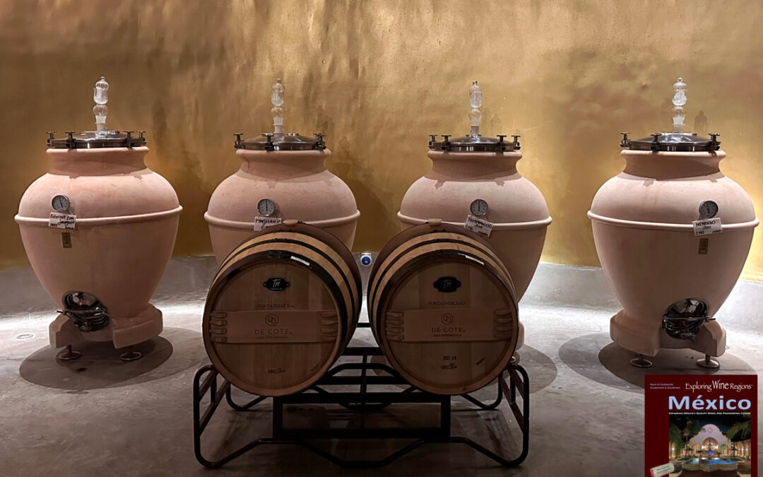 Drunk Turtles (Italian Clay Vessels) and Special Oak Barrels for Bodegas De Cote’s most premium wines Excerpt